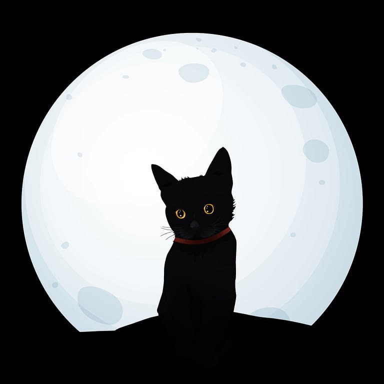 Большая кошачья тайна Котик